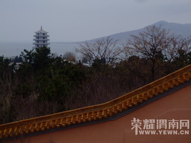 DSCF0699.JPG