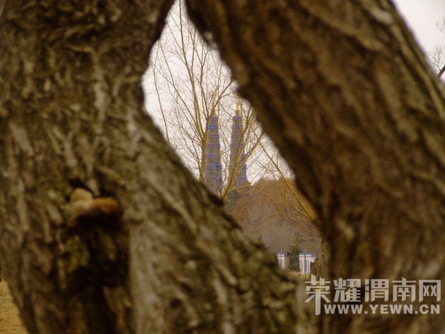 DSCF0715.JPG