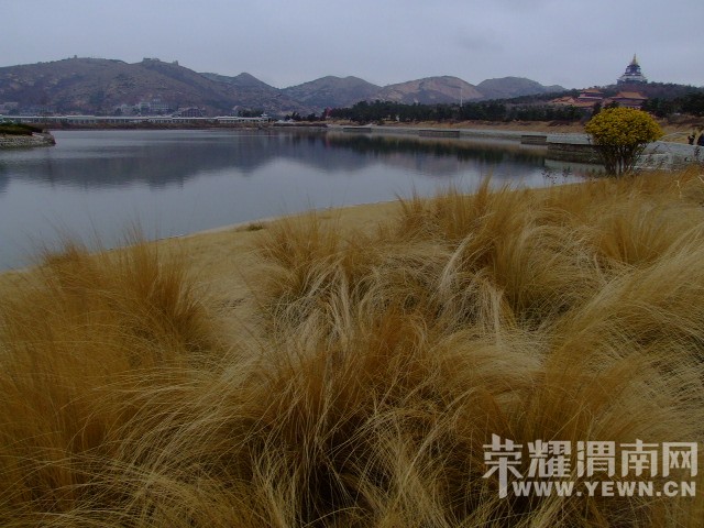 DSCF0721.JPG