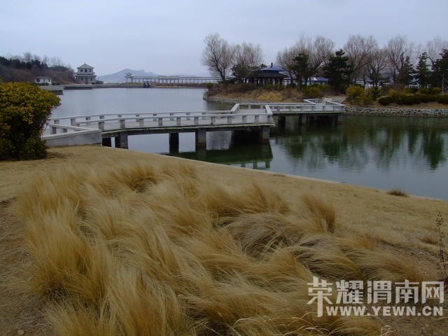 DSCF0718.JPG