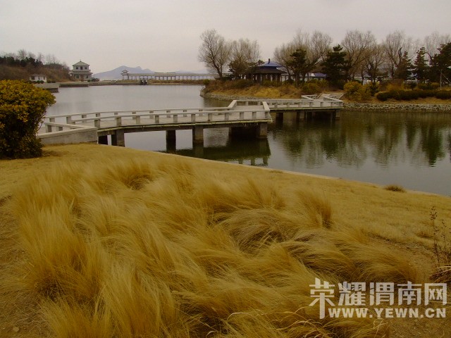 DSCF0717.JPG
