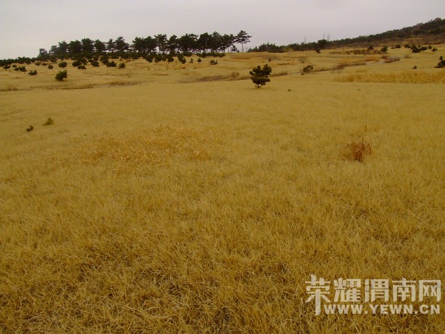 DSCF0738.JPG