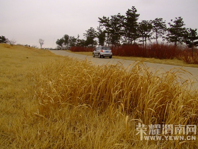 DSCF0741.JPG