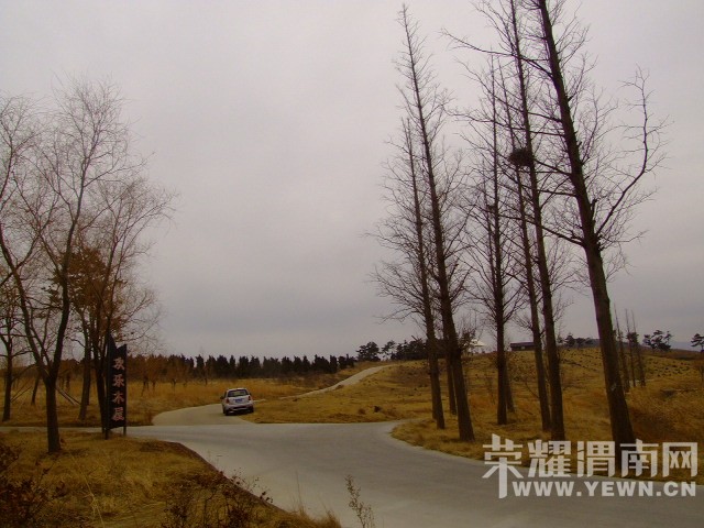 DSCF0753.JPG