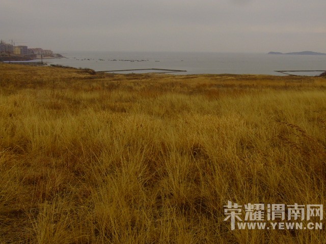 DSCF0758.JPG
