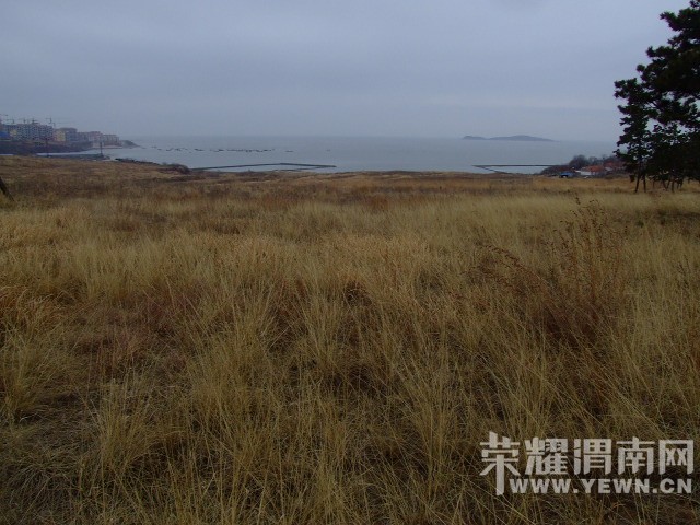 DSCF0757.JPG