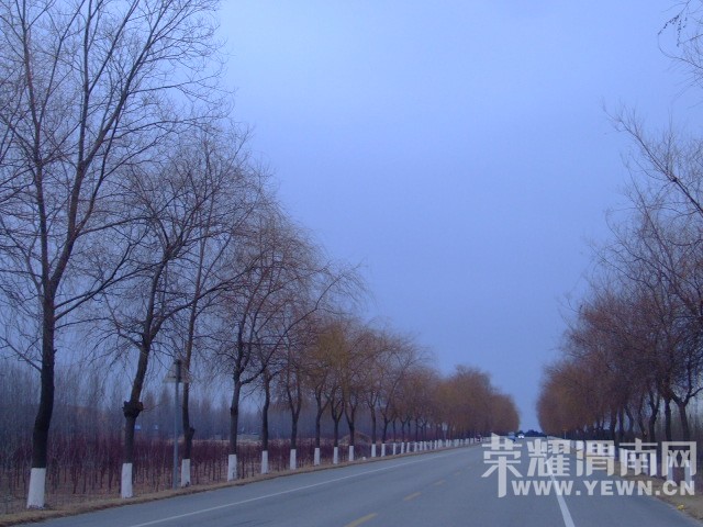 DSCF0810.JPG