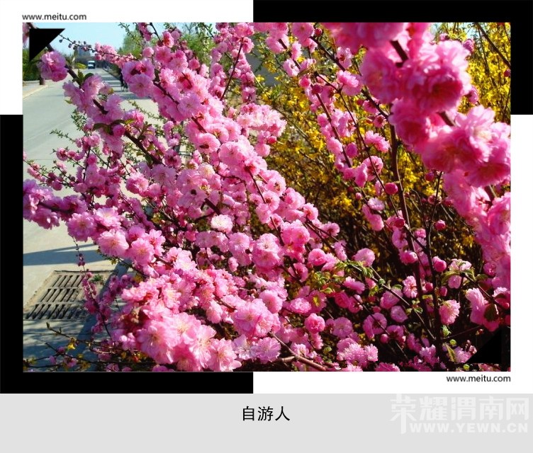 6afa8227gdab36cc24827&amp;690_.jpg