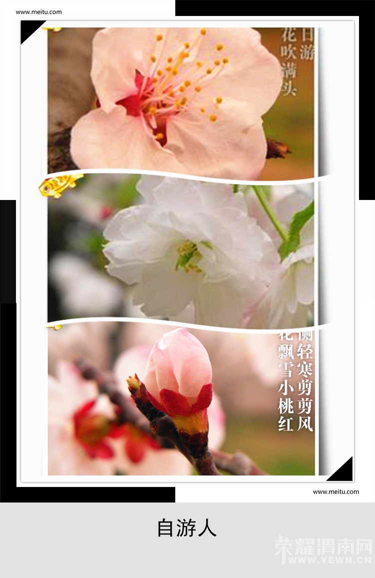 53fc5479x9d156849b9a5&amp;690_.jpg