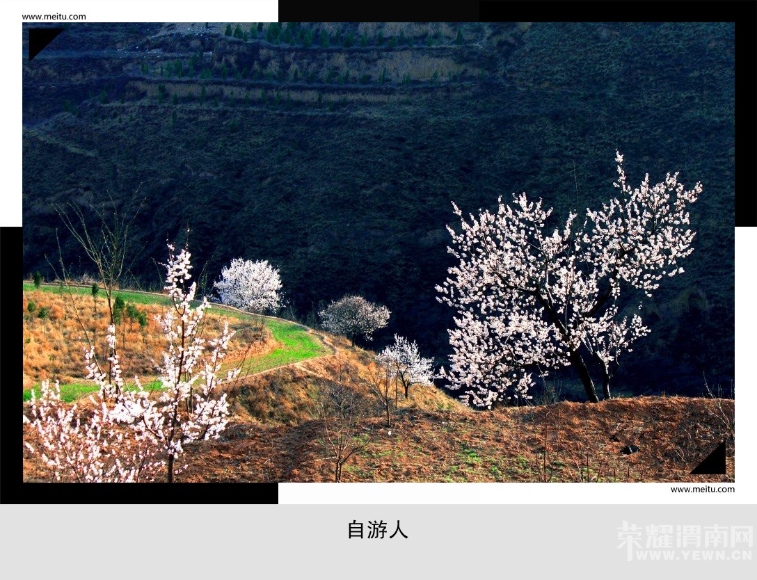 201404012030331810 (1)_.jpg