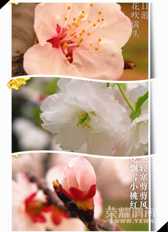 135326wgr8rgoh5gzof5g2.jpg