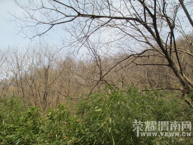 IMG_5793.JPG