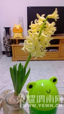 QQͼƬ20150313102413_��Ŀѹ��.jpg