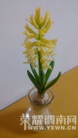 QQͼƬ20150313102548_��Ŀѹ��.jpg