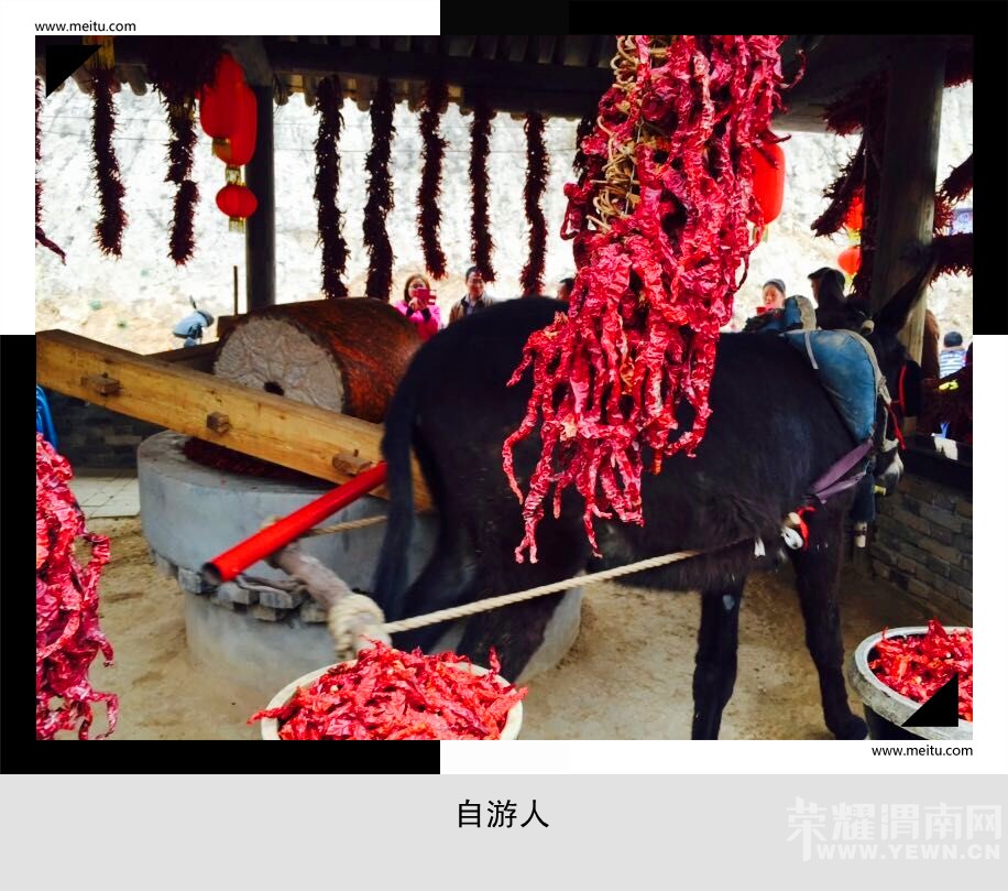 QQͼƬ20150316184535_.jpg