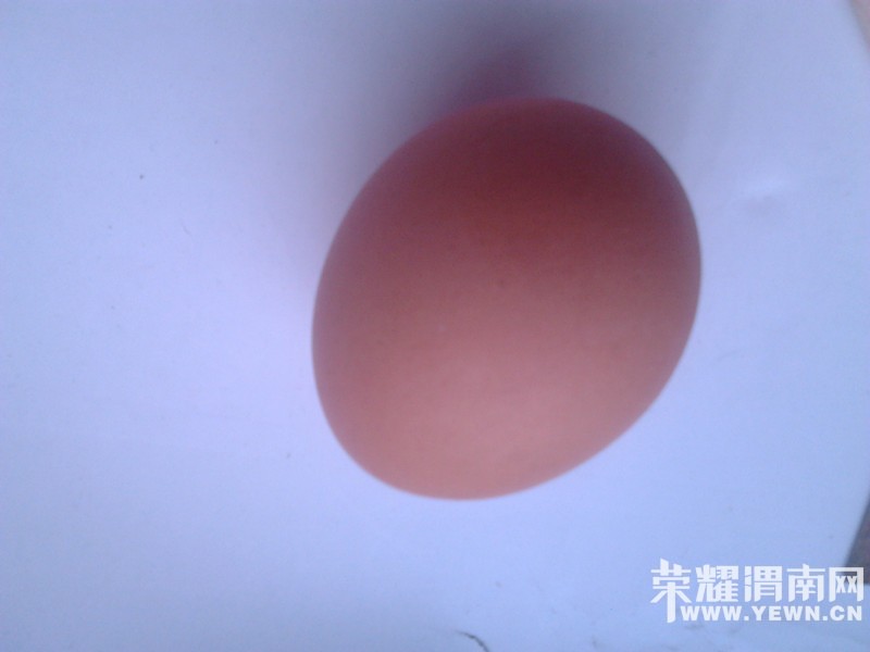20130403_0efde6954513399cb901xi9iRXwpVipS.jpg