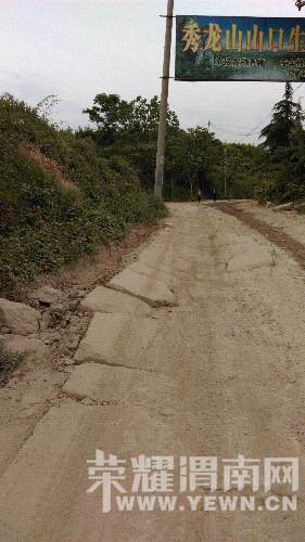 IMAG0404.jpg