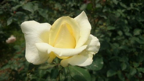 DSC_0818_����.jpg