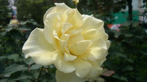 DSC_0819_����.jpg