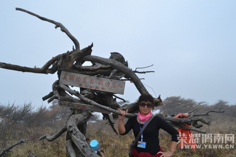 183353csppiux5p7psp0pi.jpg.thumb (1).jpg