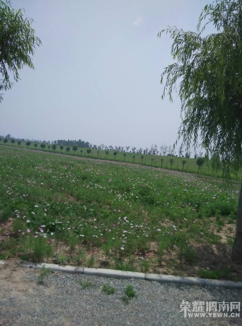 094042mjqqjn84t0spxchz.jpg