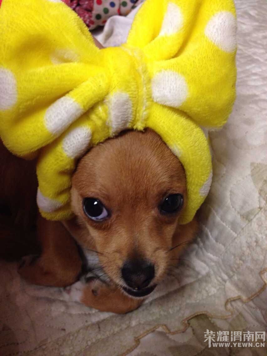 QQͼƬ20150602141357.jpg