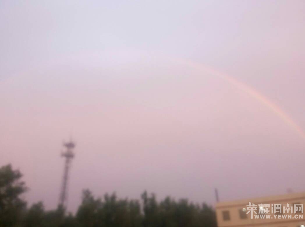 214348nl9lv1zjf9fu9sq9.jpg
