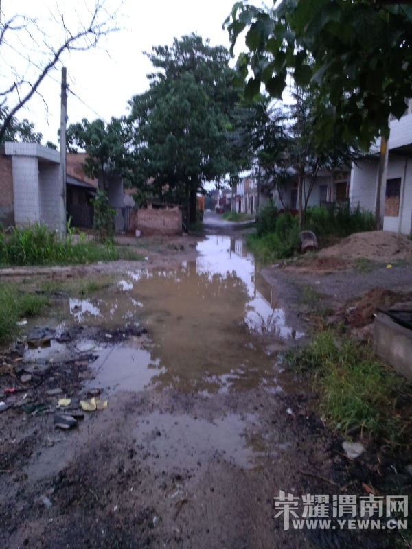 IMAG1038.jpg