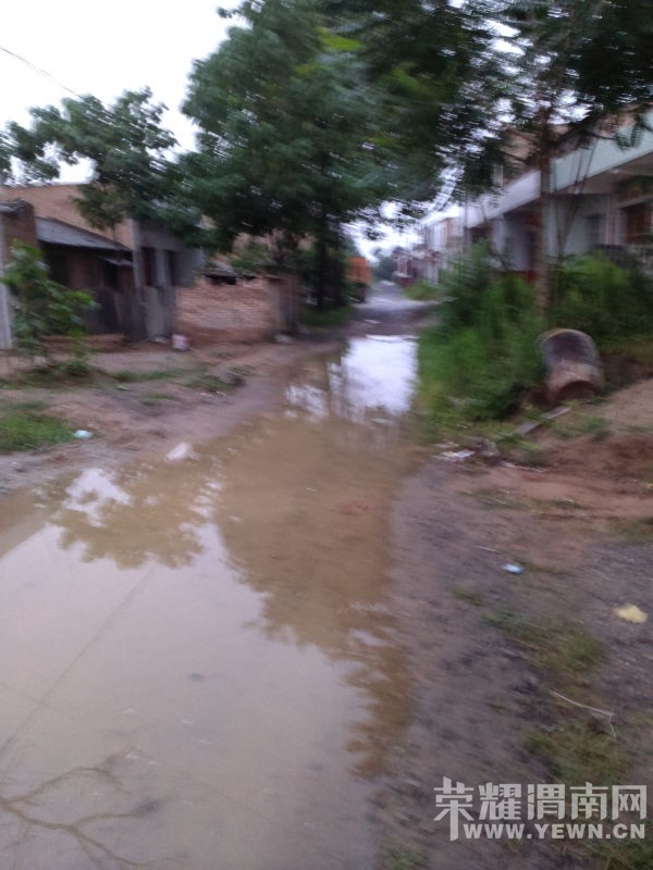 IMAG1039.jpg