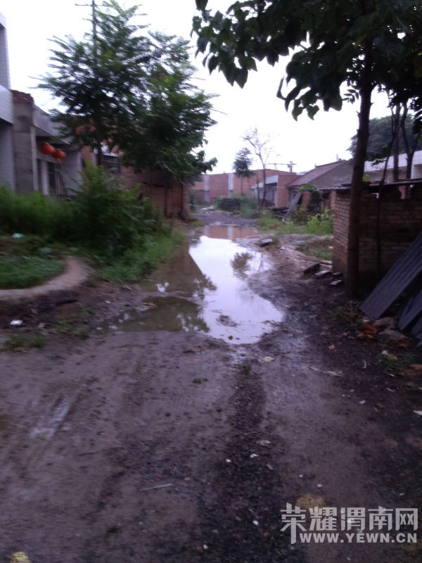IMAG1040.jpg