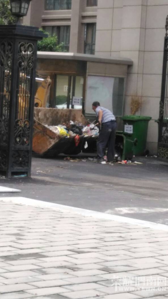 122537fjyuud6ds6yydrkc.jpg