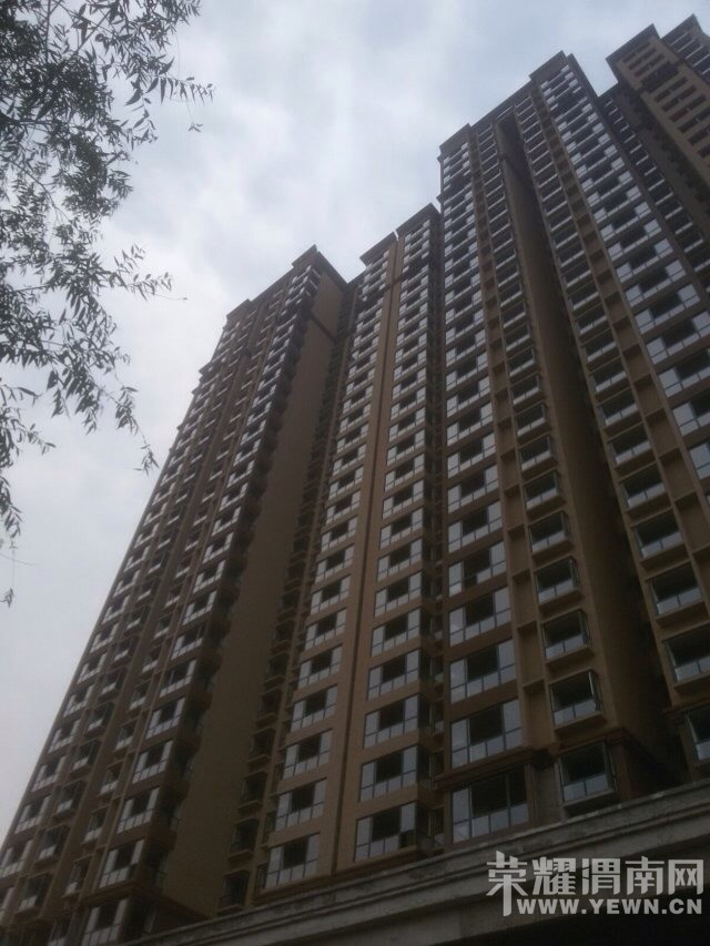 220733bcm1e3zg12basfy9.jpg