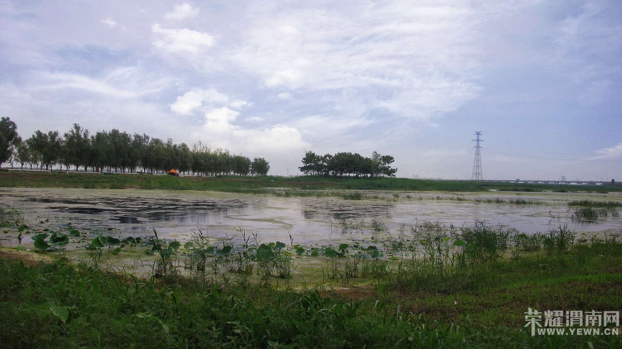 03.jpg