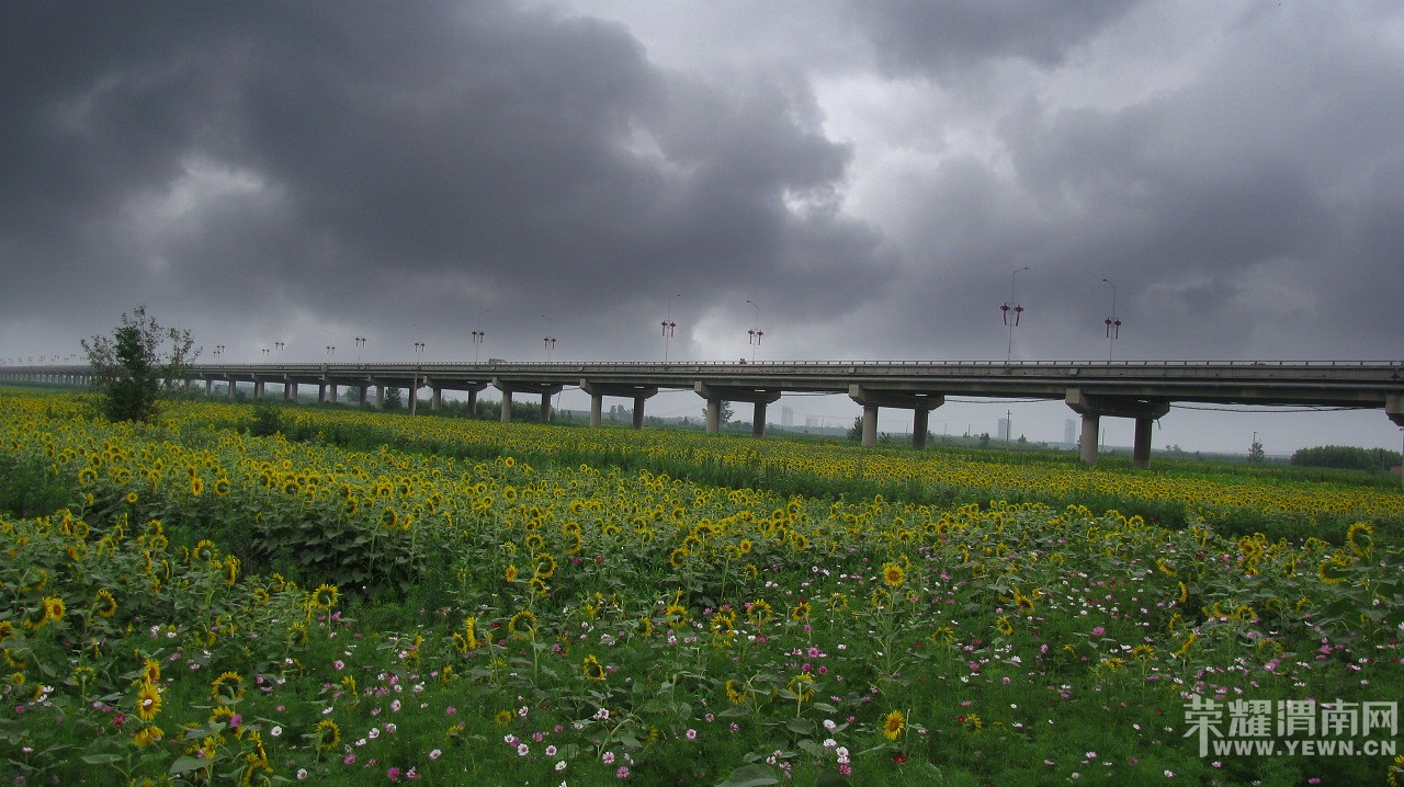 06.jpg