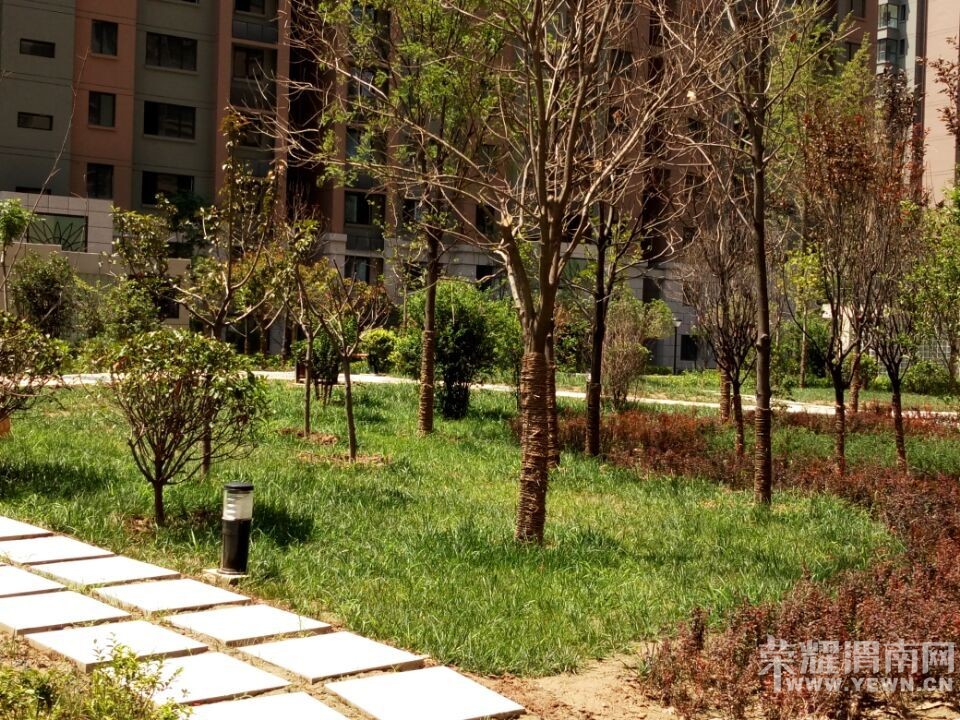 QQͼƬ20150805142926.jpg