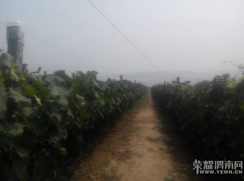 ���Ѽң�60Ķ���ĺڡ����ѳ����ˡ���ӭ����ǰ�������ɹ���