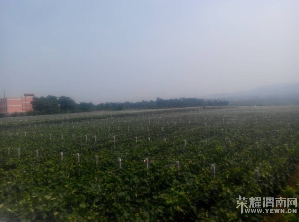 ���Ѽң�60Ķ���ĺڡ����ѳ����ˡ���ӭ����ǰ�������ɹ���