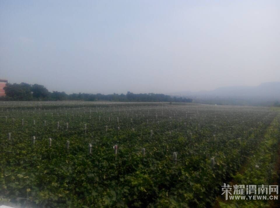 ���Ѽң�60Ķ���ĺڡ����ѳ����ˡ���ӭ����ǰ�������ɹ���