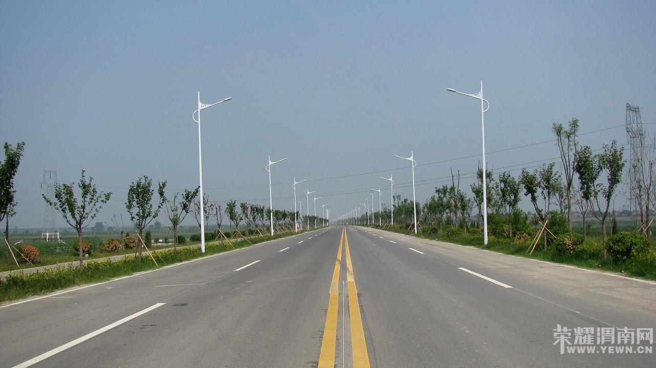 渭富大桥口西边,格桑花白鹭鸟,美景如画!