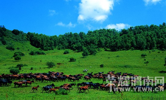 ��μ�ϸ�̽�Ż��⡿8��15��16���ҺͲ�ԭ�и�Լ�ᡣ��ɽ�����ｪ̫������̨�������Σ�