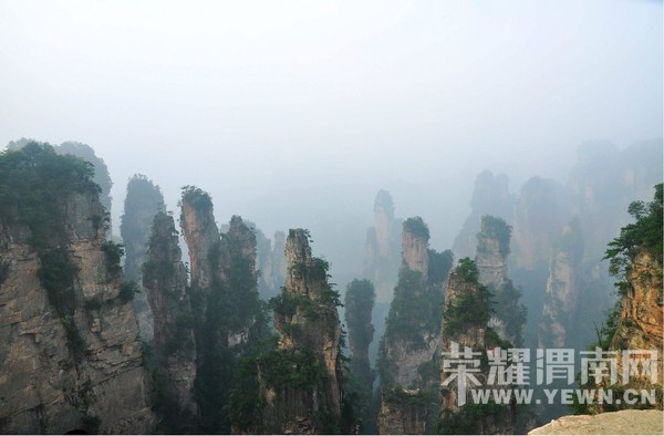 �żҽ�ɭ�ֹ�԰ �����Ϫ��Ԭ�ҽ硢��ҽ硢����ɽ��ʮ�ﻭ�ȡ�����������Ͽ�ȣ� ...