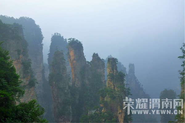 �żҽ�ɭ�ֹ�԰ �����Ϫ��Ԭ�ҽ硢��ҽ硢����ɽ��ʮ�ﻭ�ȡ�����������Ͽ�ȣ� ...