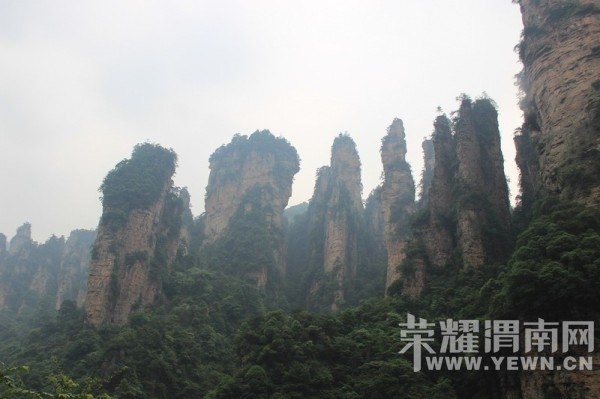 �żҽ�ɭ�ֹ�԰ �����Ϫ��Ԭ�ҽ硢��ҽ硢����ɽ��ʮ�ﻭ�ȡ�����������Ͽ�ȣ� ...