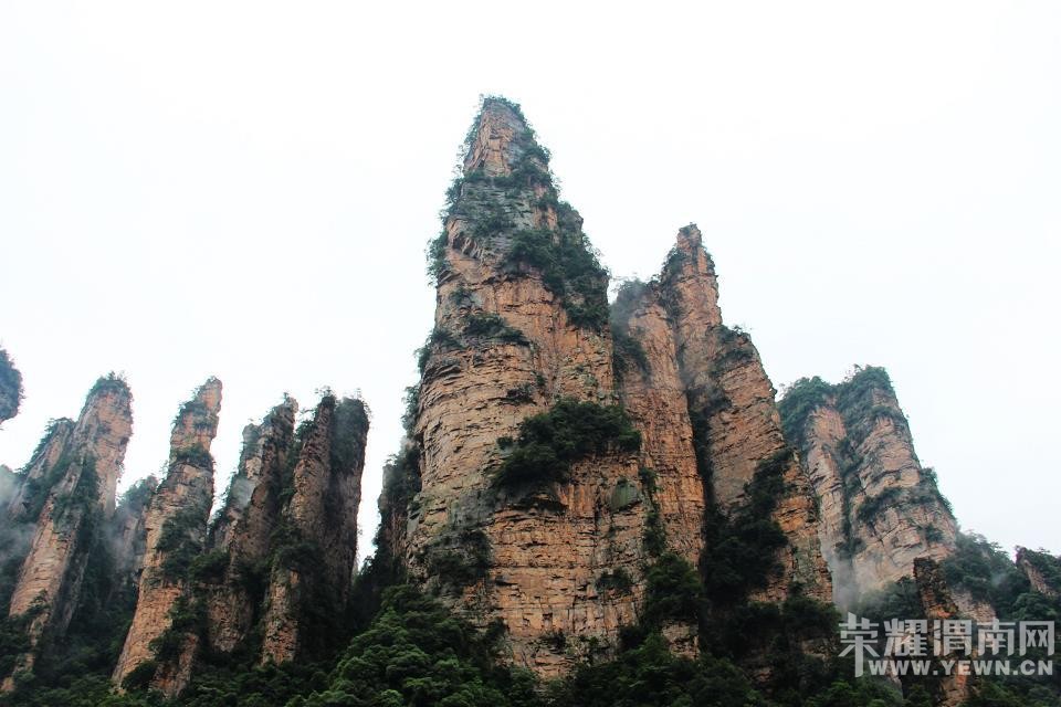 �żҽ�ɭ�ֹ�԰ �����Ϫ��Ԭ�ҽ硢��ҽ硢����ɽ��ʮ�ﻭ�ȡ�����������Ͽ�ȣ� ...