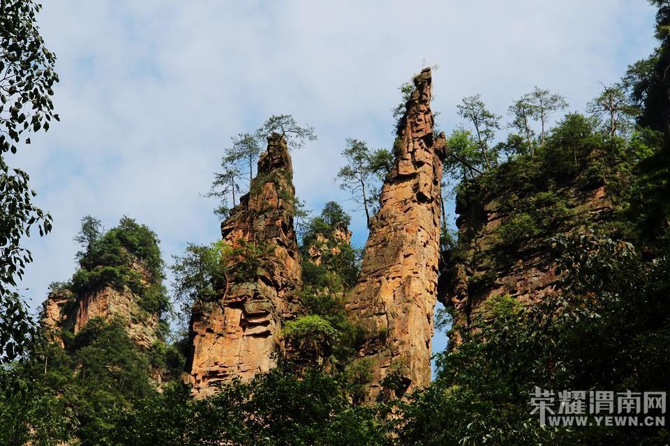 �żҽ�ɭ�ֹ�԰ �����Ϫ��Ԭ�ҽ硢��ҽ硢����ɽ��ʮ�ﻭ�ȡ�����������Ͽ�ȣ� ...