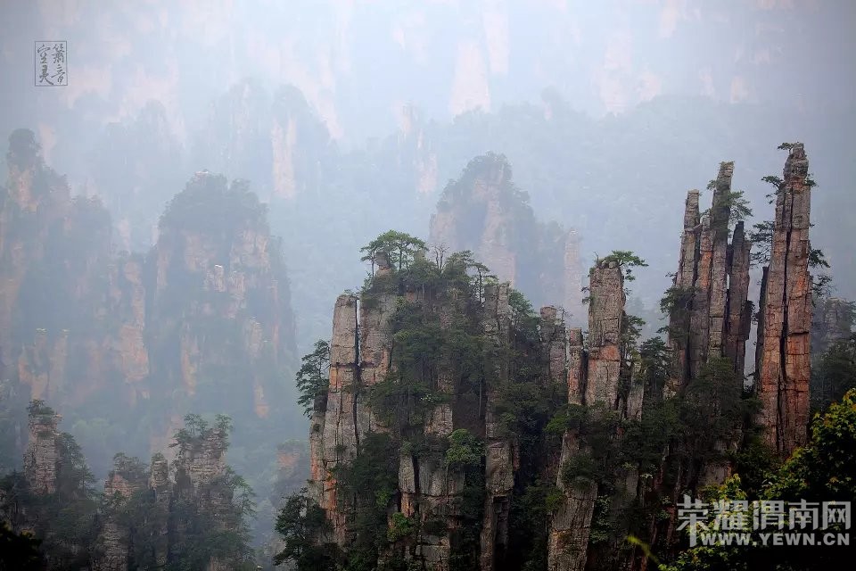 �żҽ�ɭ�ֹ�԰ �����Ϫ��Ԭ�ҽ硢��ҽ硢����ɽ��ʮ�ﻭ�ȡ�����������Ͽ�ȣ� ...