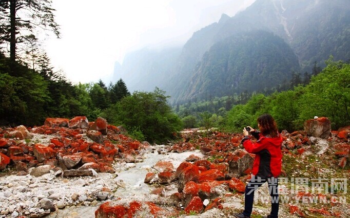 ��̤����ɽ��Խ������ɽҰ��ͽ����Խ��7��