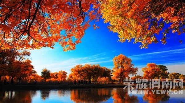 μ�ϡ�����ͬ�л��⡿���������7��֮��9��21�տ�ʼ����������