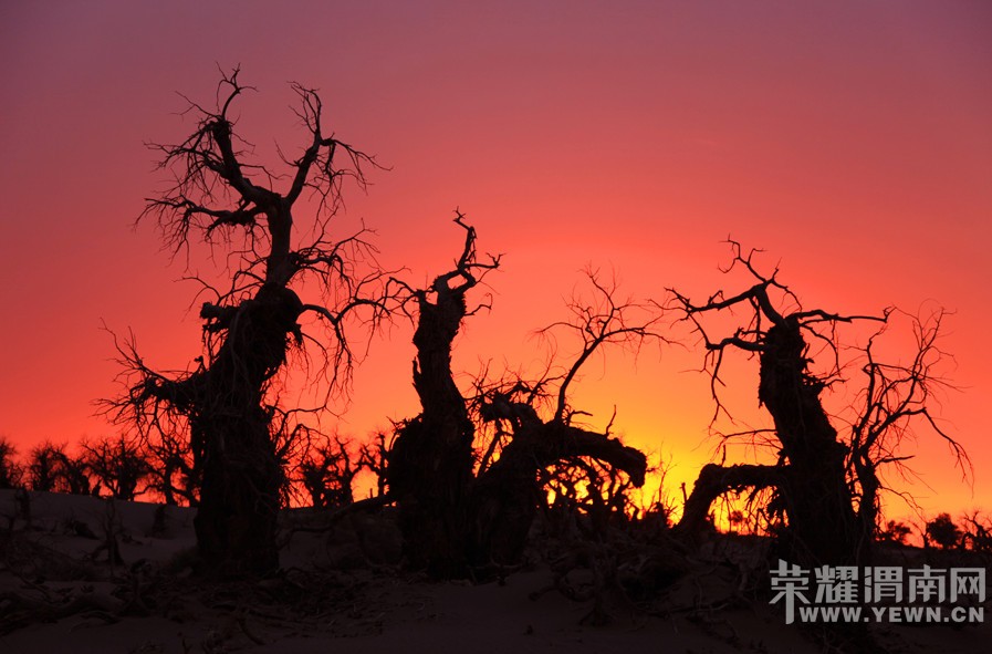 μ�ϡ�����ͬ�л��⡿���������7��֮��9��21�տ�ʼ����������