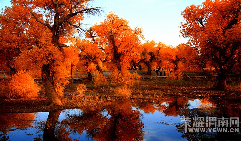 μ�ϡ�����ͬ�л��⡿���������7��֮��9��21�տ�ʼ����������